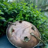 Large Art Nouveau copper fruit bowl Italy 1890s