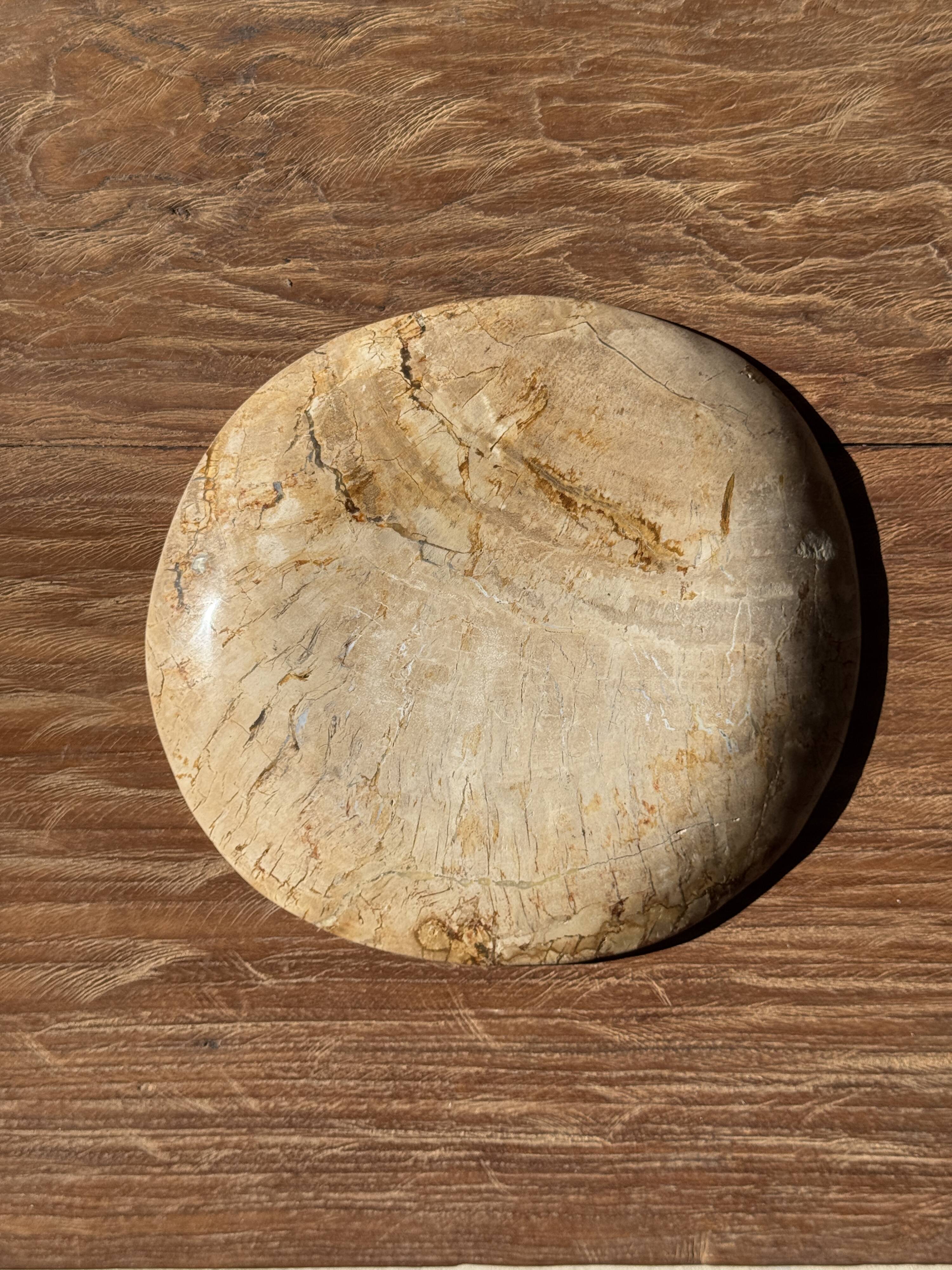 Small pocket tray or circular beige petrified wood dish D22.5-20 -3310
