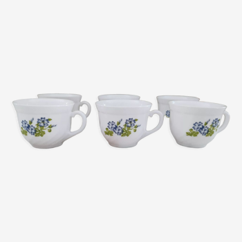 Set of 6 ARC long coffee cups France model Forget-me-not