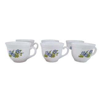 Set of 6 ARC long coffee cups France model Forget-me-not