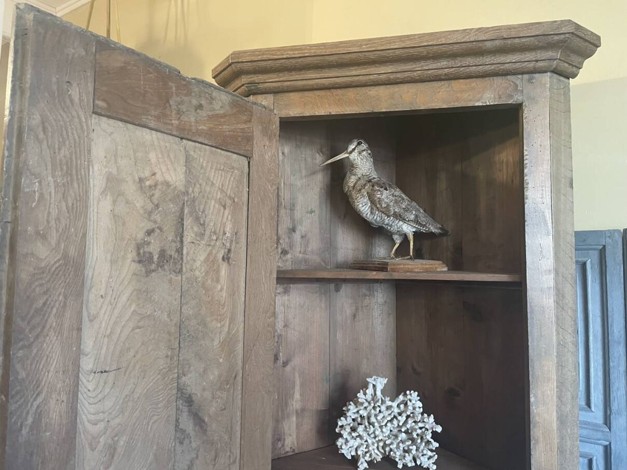 Armoire d'angle provinciale XIXe siècle noyer/chêne
