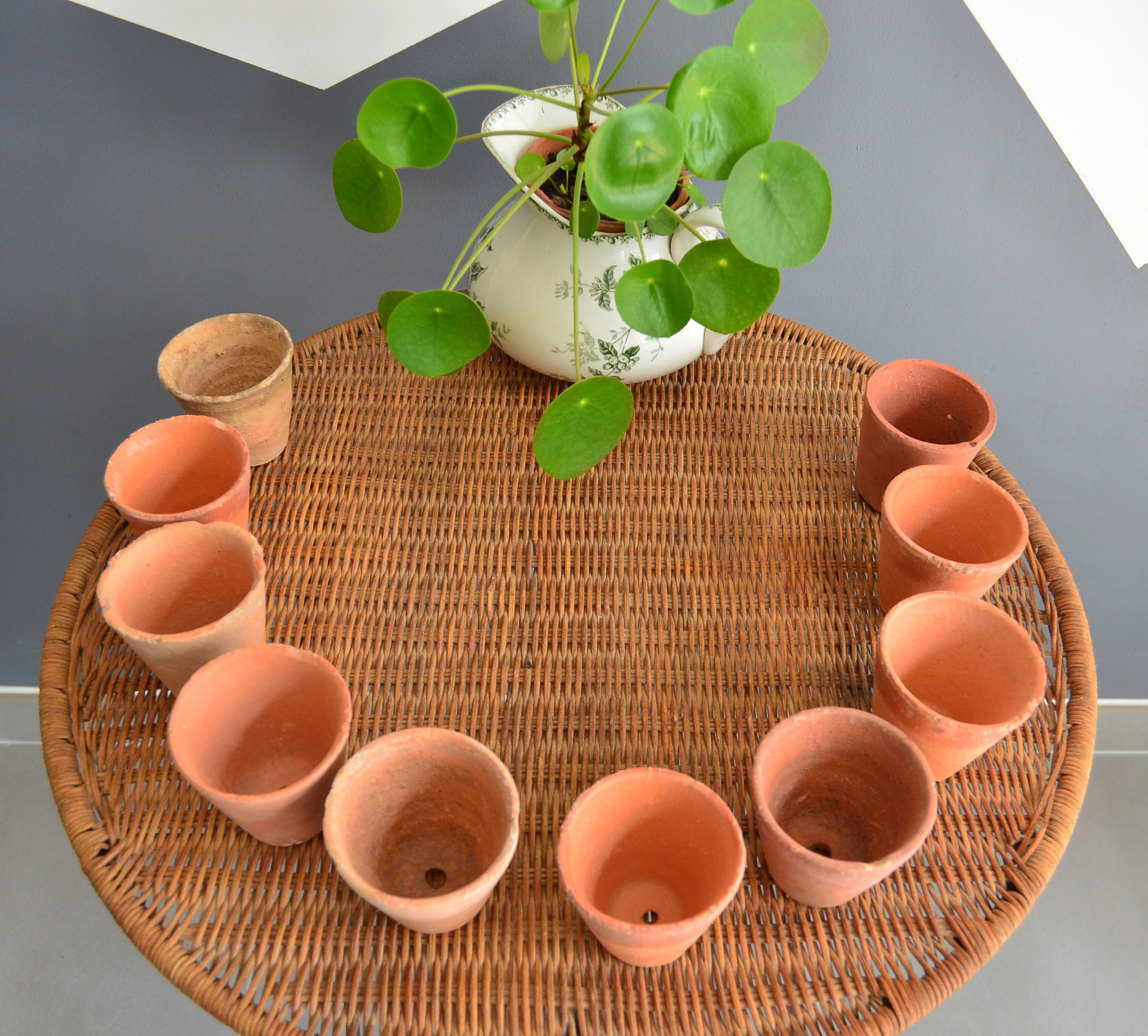 10 old terracotta seedling pots