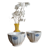 Duo of opaque porcelain bowls