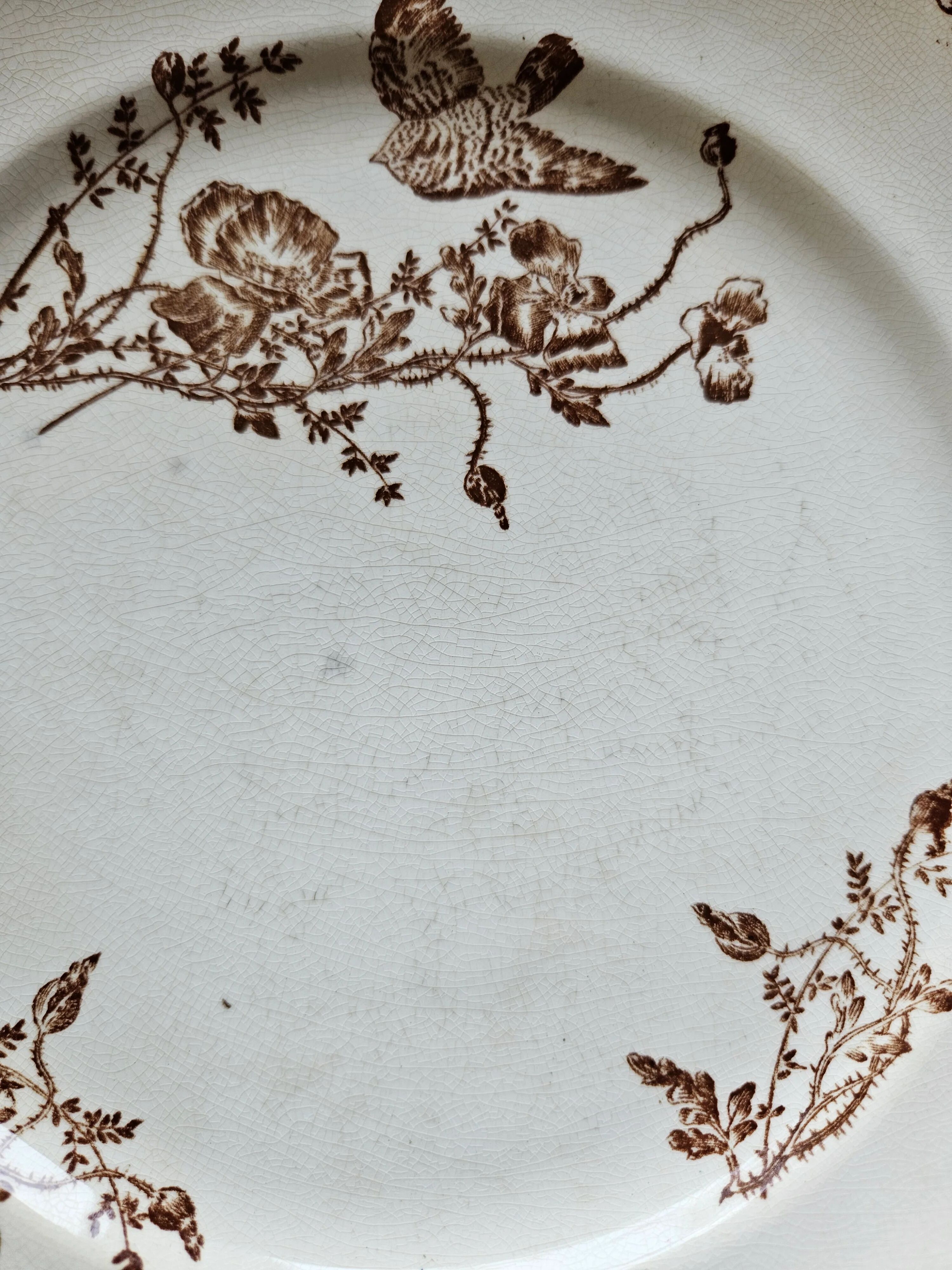 Flat plates, ironstone, poppies