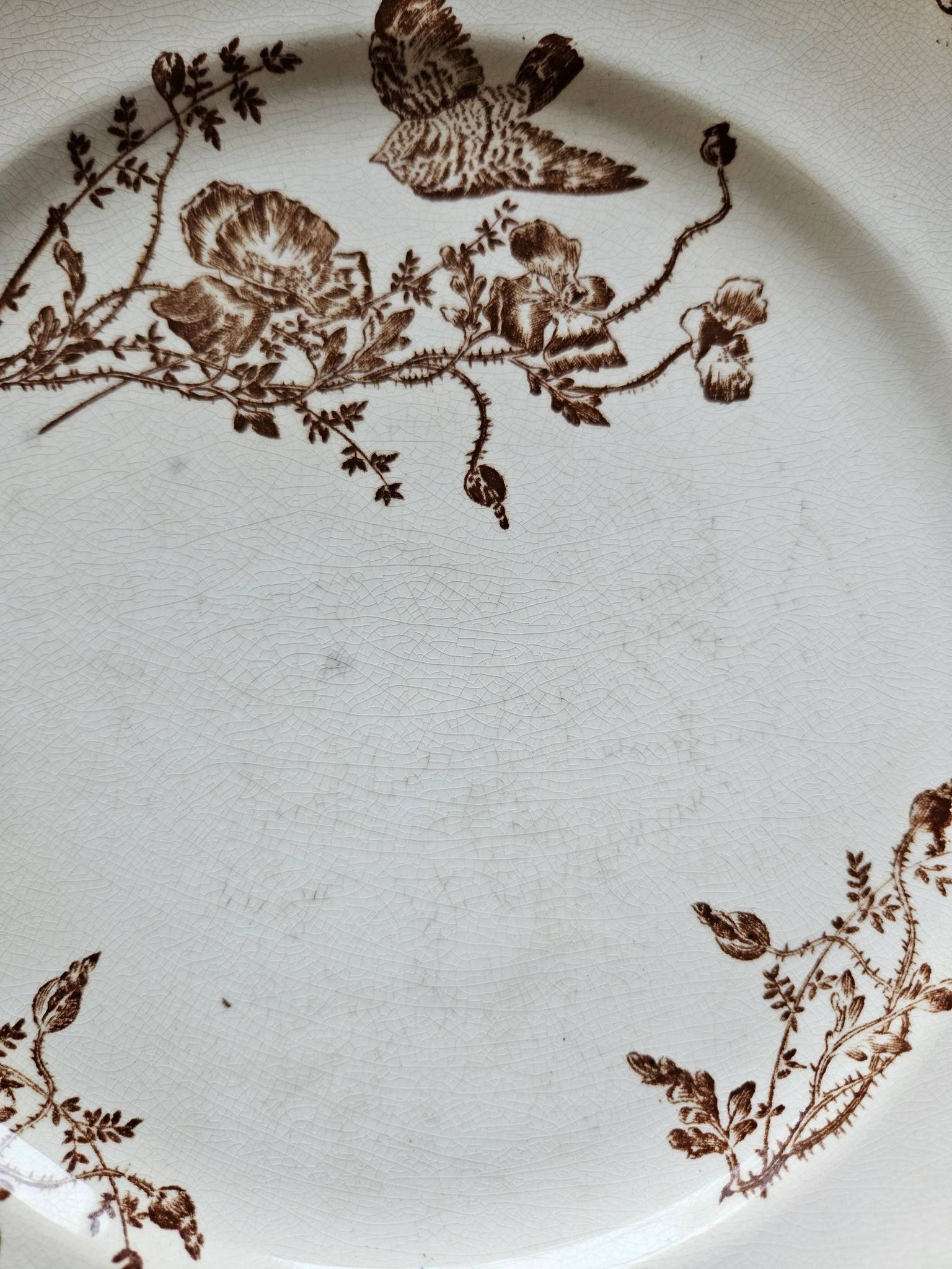 Flat plates, ironstone, poppies