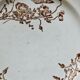 Flat plates, ironstone, poppies