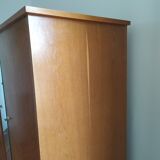 Scandinavian-style wardrobe