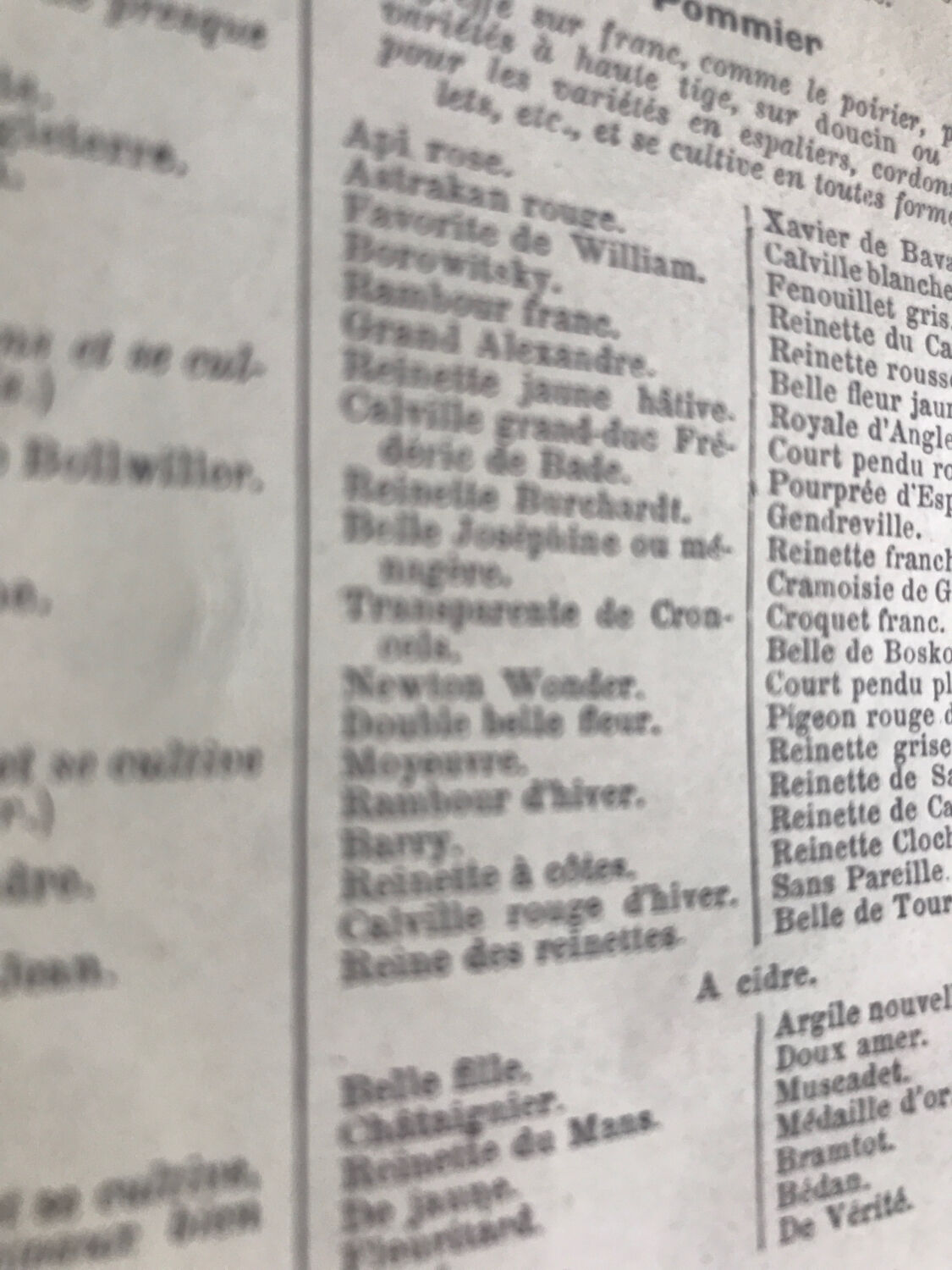 Original vintage fruit board