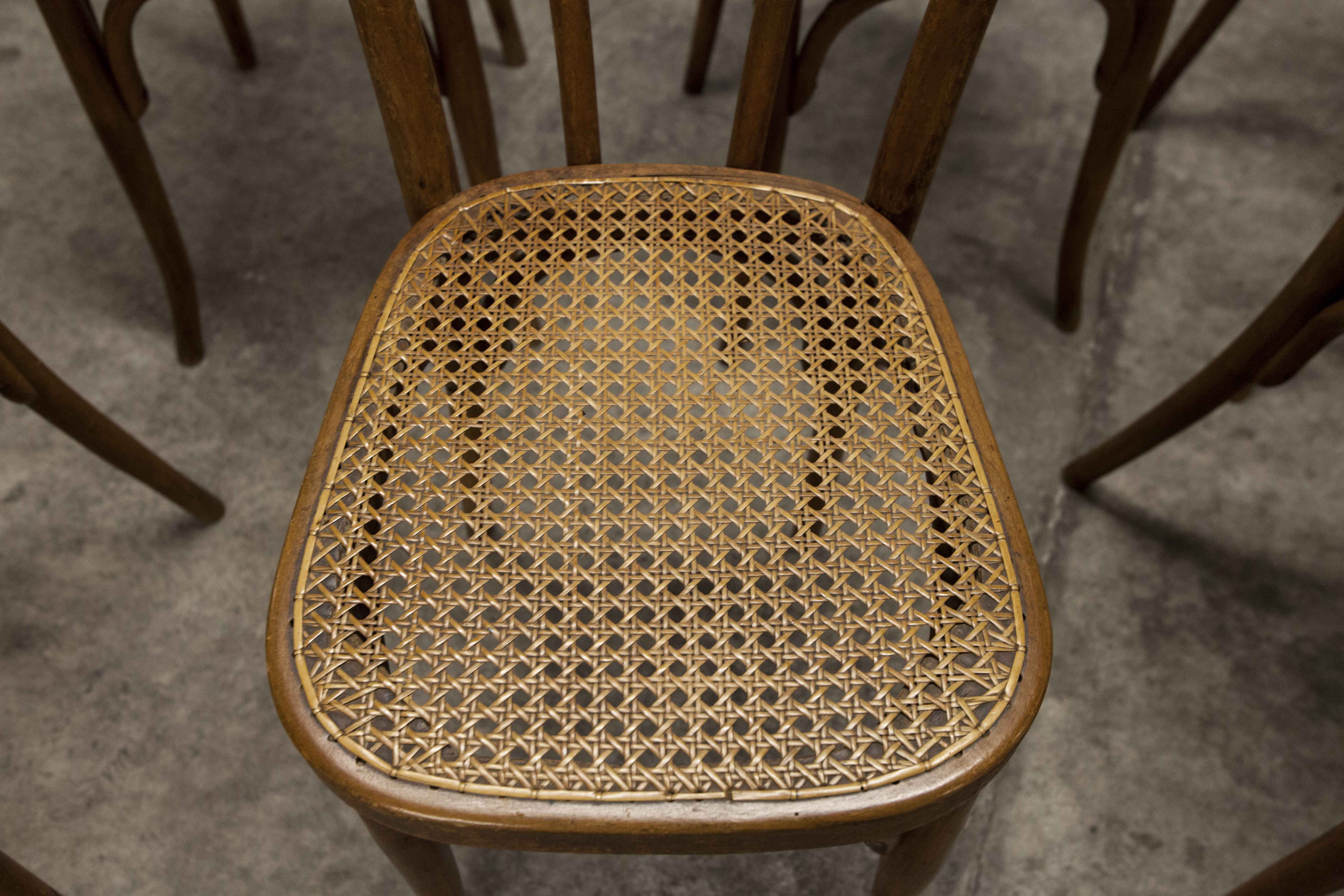 Set of 6 chairs bistro j&j kohn 1900 seat cannage