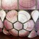 Vintage pink capiz shell chandelier/pendant lighting