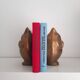 Pair of large brass owl bookends