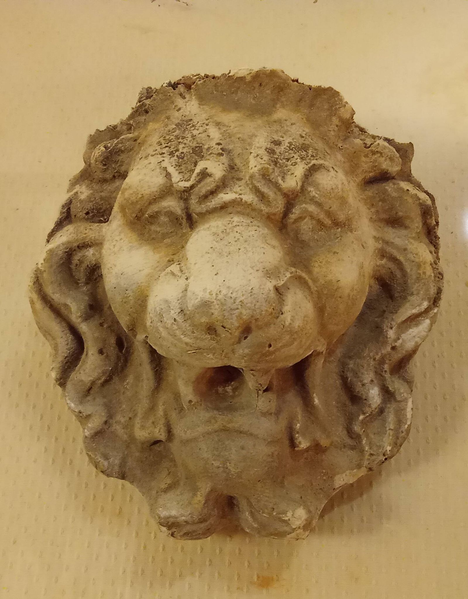 Ancien cadre doré ornement tête de lion sur plexiglas