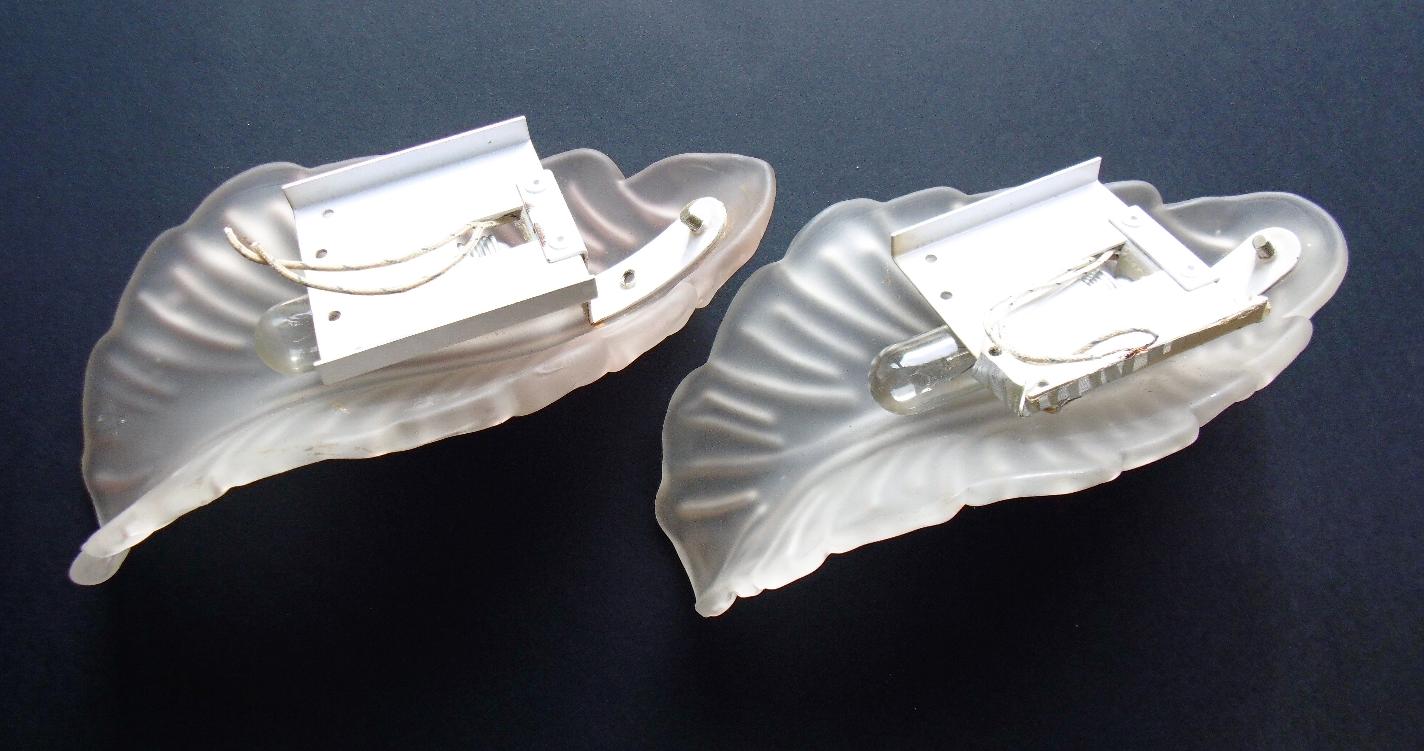 Paire of sconces 1950