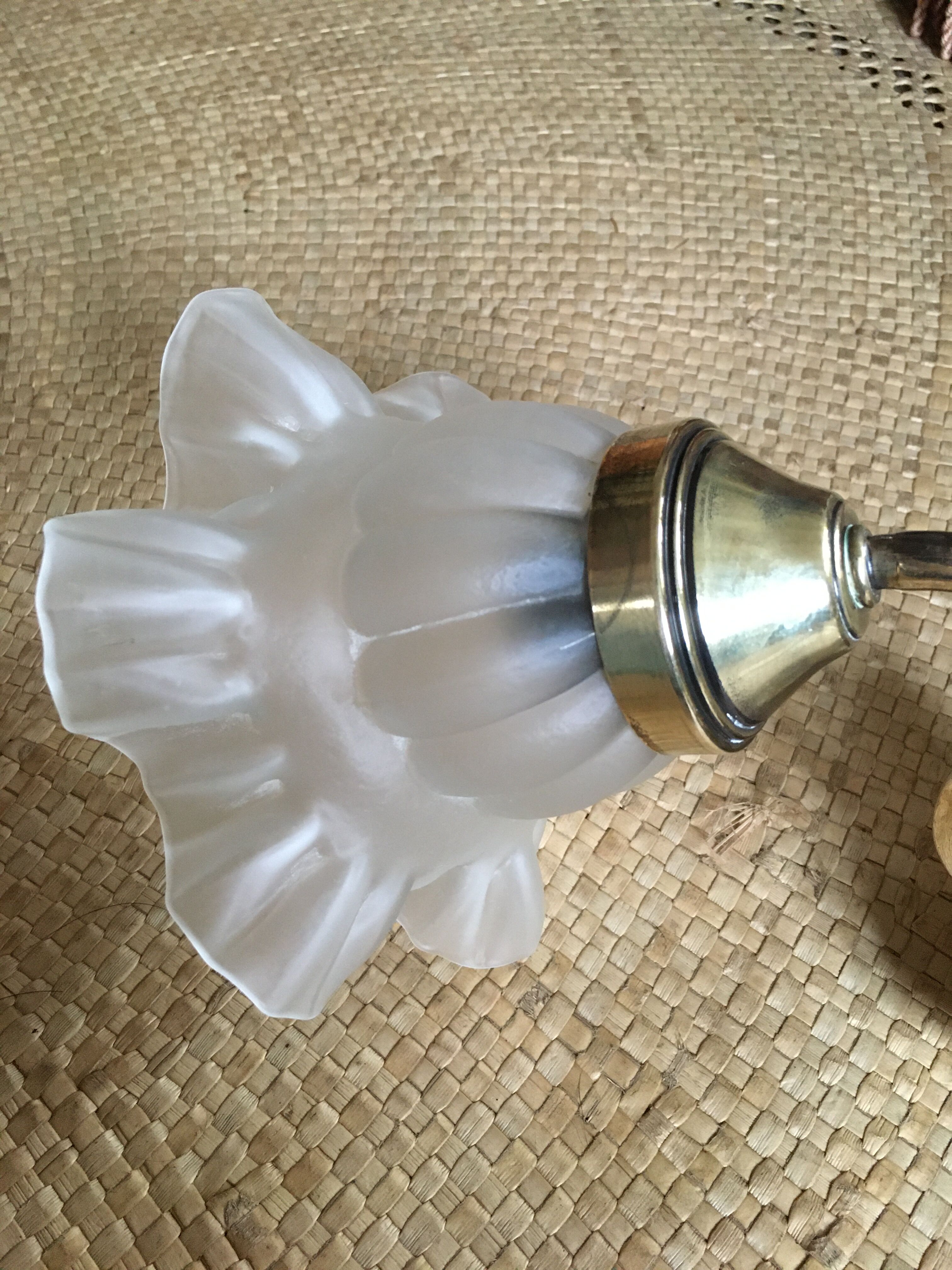 Swan neck sconce
