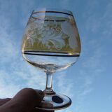Box of 6 bohemian crystal cognac glasses