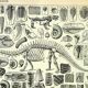 Botanical engraving 1897 A. Millot - Paleontology 1, prehistory