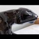 Saint Clement Ceramic Black Panther