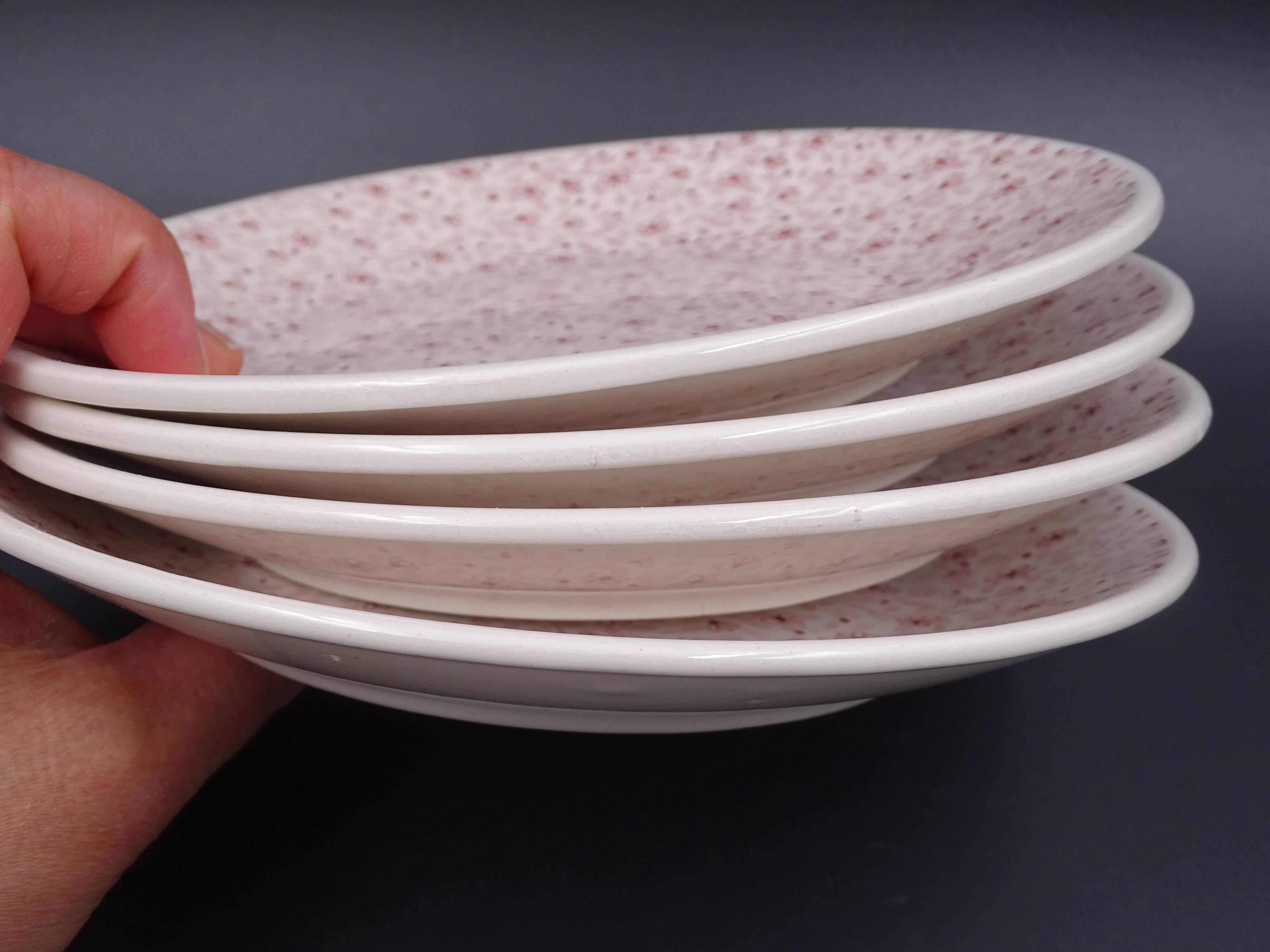 Set of 9 dessert plates in earthenware of Sarreguemines - Décor of pink flowers - 1970