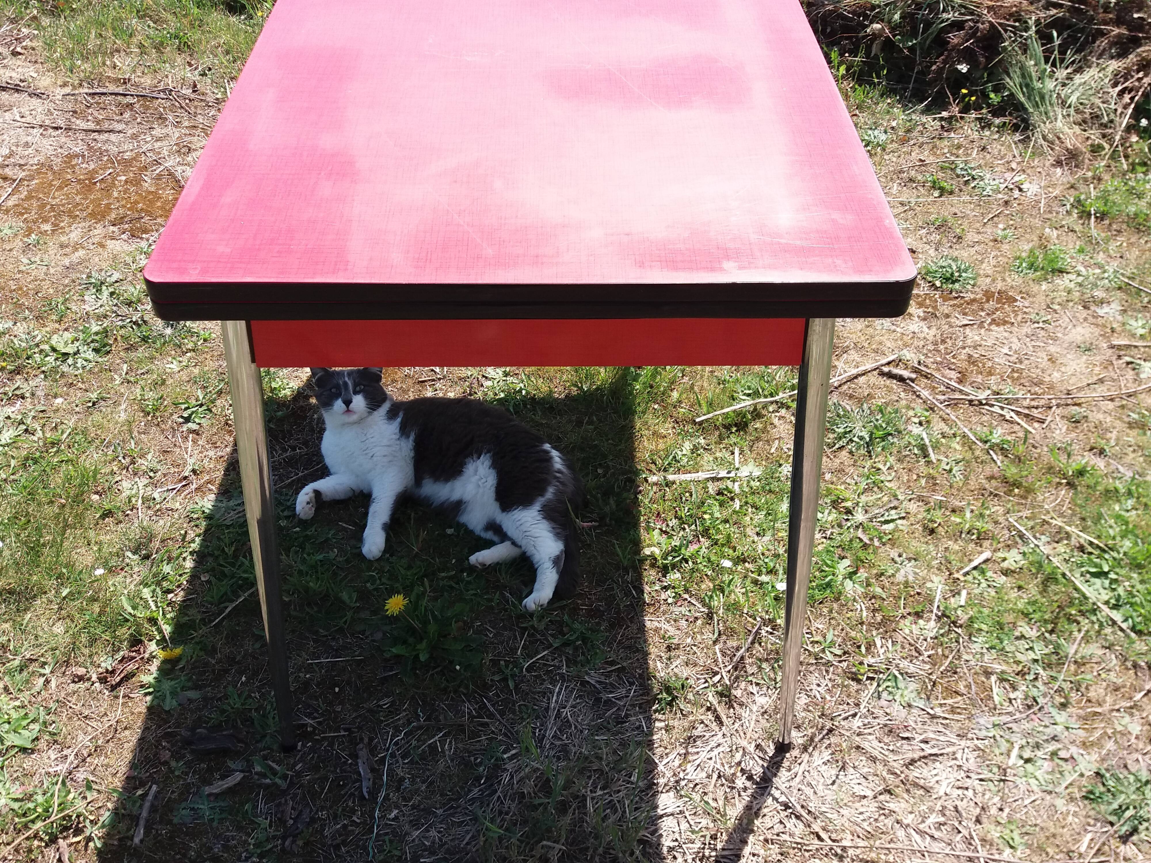 Dining table with red formica extensions