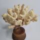 Antique natural coral mounted on turned wooden base, 22 cm