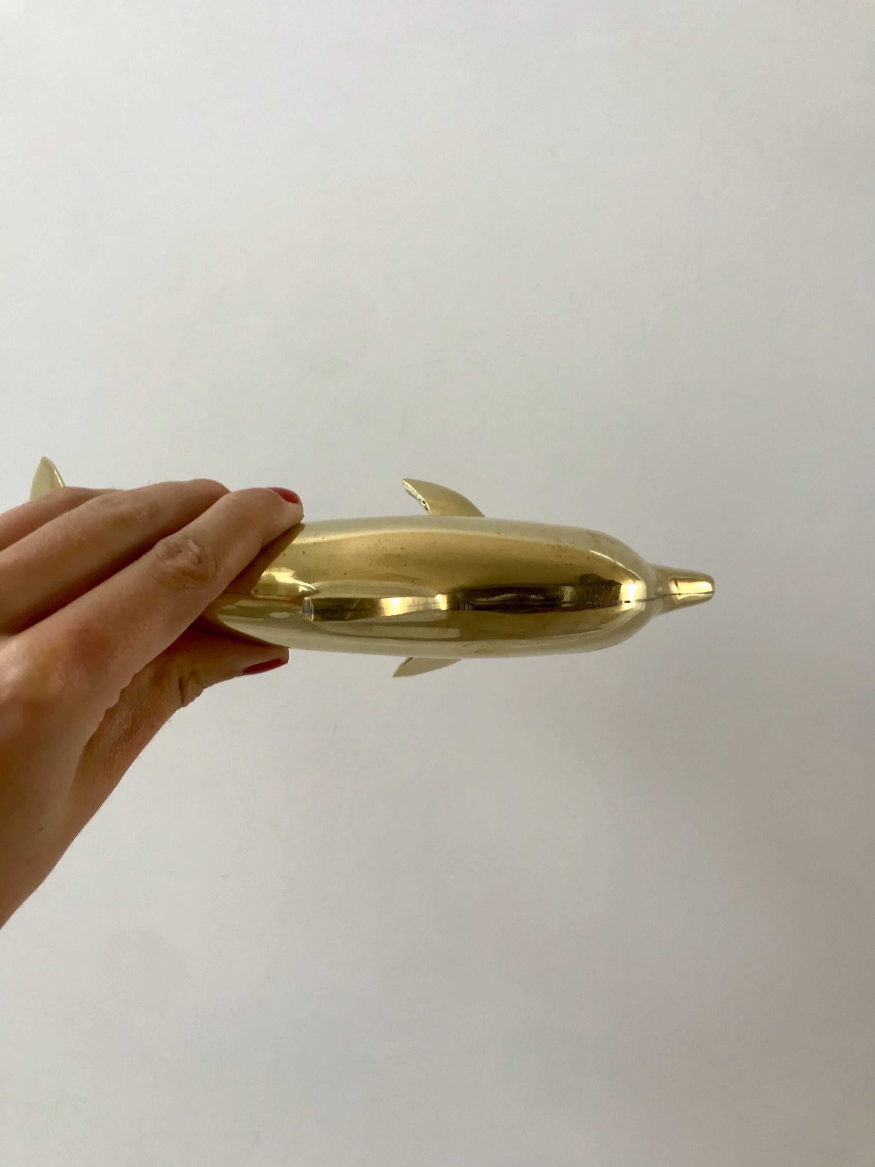 Bottlenose dolphin 1950s