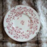 Antique plate in ironstone