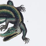 Lithography engraving vintage fantastic animals - Buffon 1835