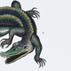 Lithography engraving vintage fantastic animals - Buffon 1835