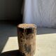 Brown and black petrified wood side table H35 D27 - 3333