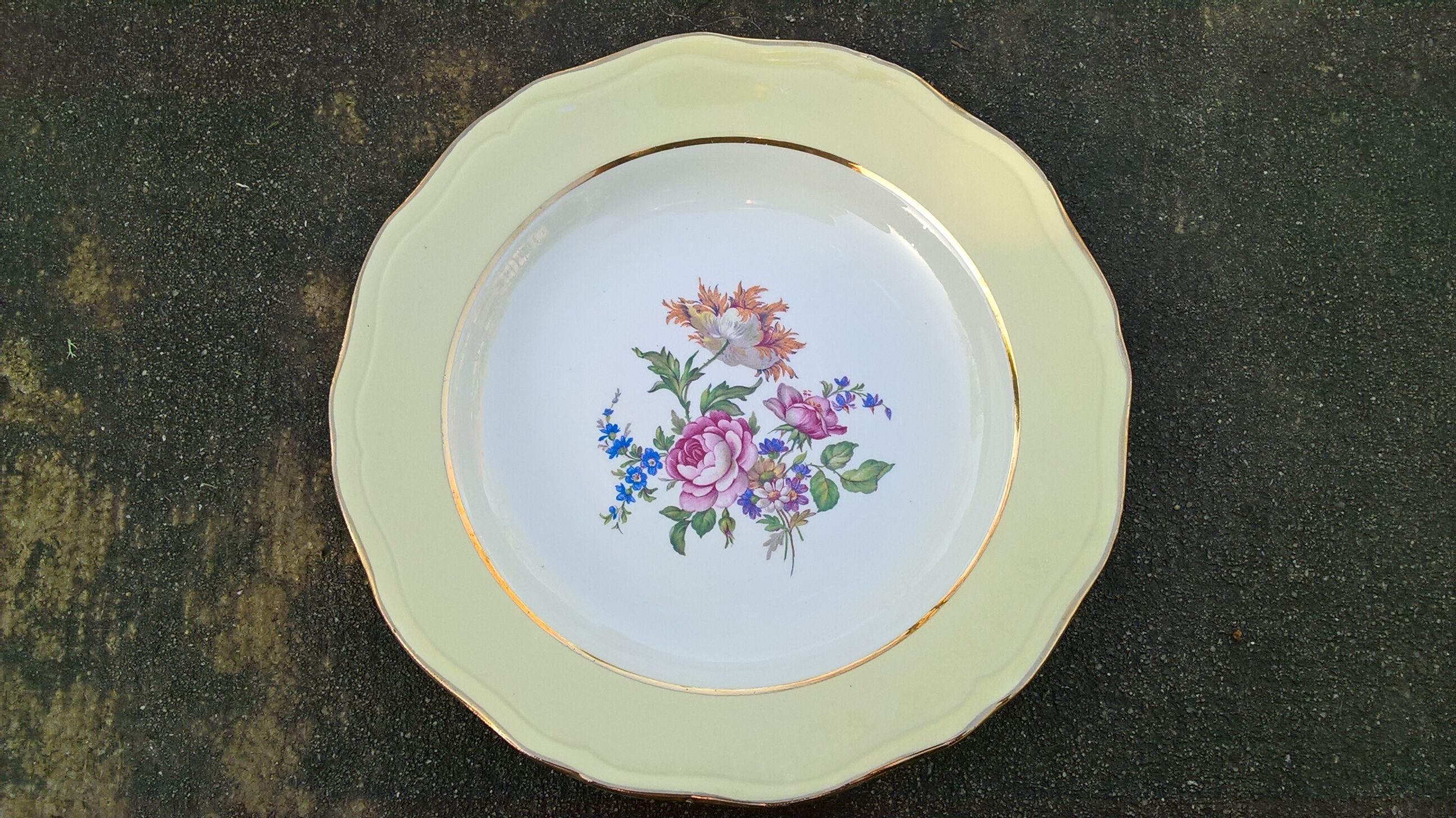 8 hollow plates L'Amandinoise