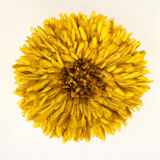 Juju Hat yellow 50 cm