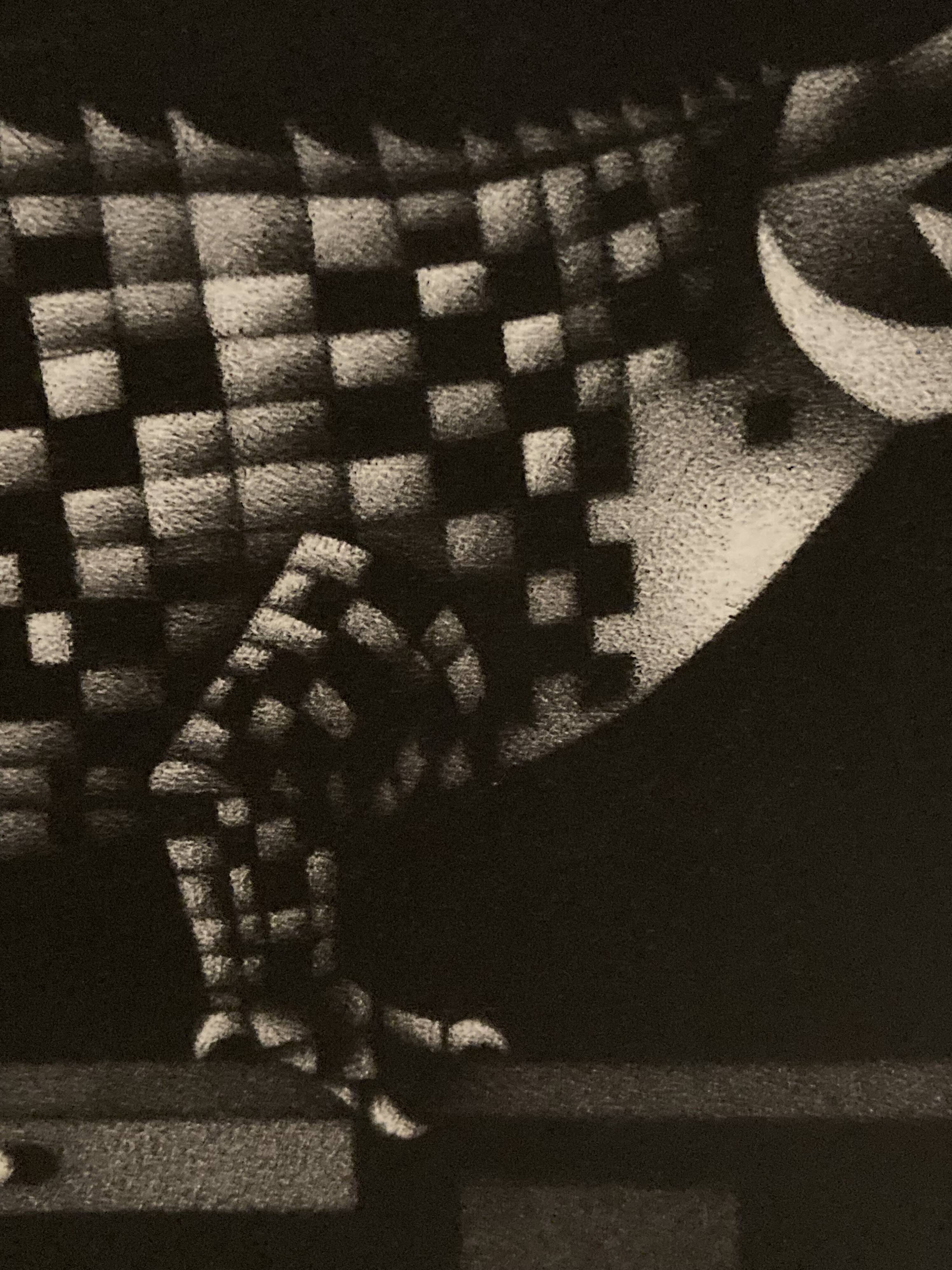 Mario avati (1921-2009), alligator, black and white, 1970