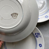 Assiettes fleuries Lunéville