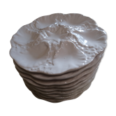 Lot of 11 white oyster plates