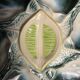 Set of 10 Saint Clément oyster barbotine plates circa 1940