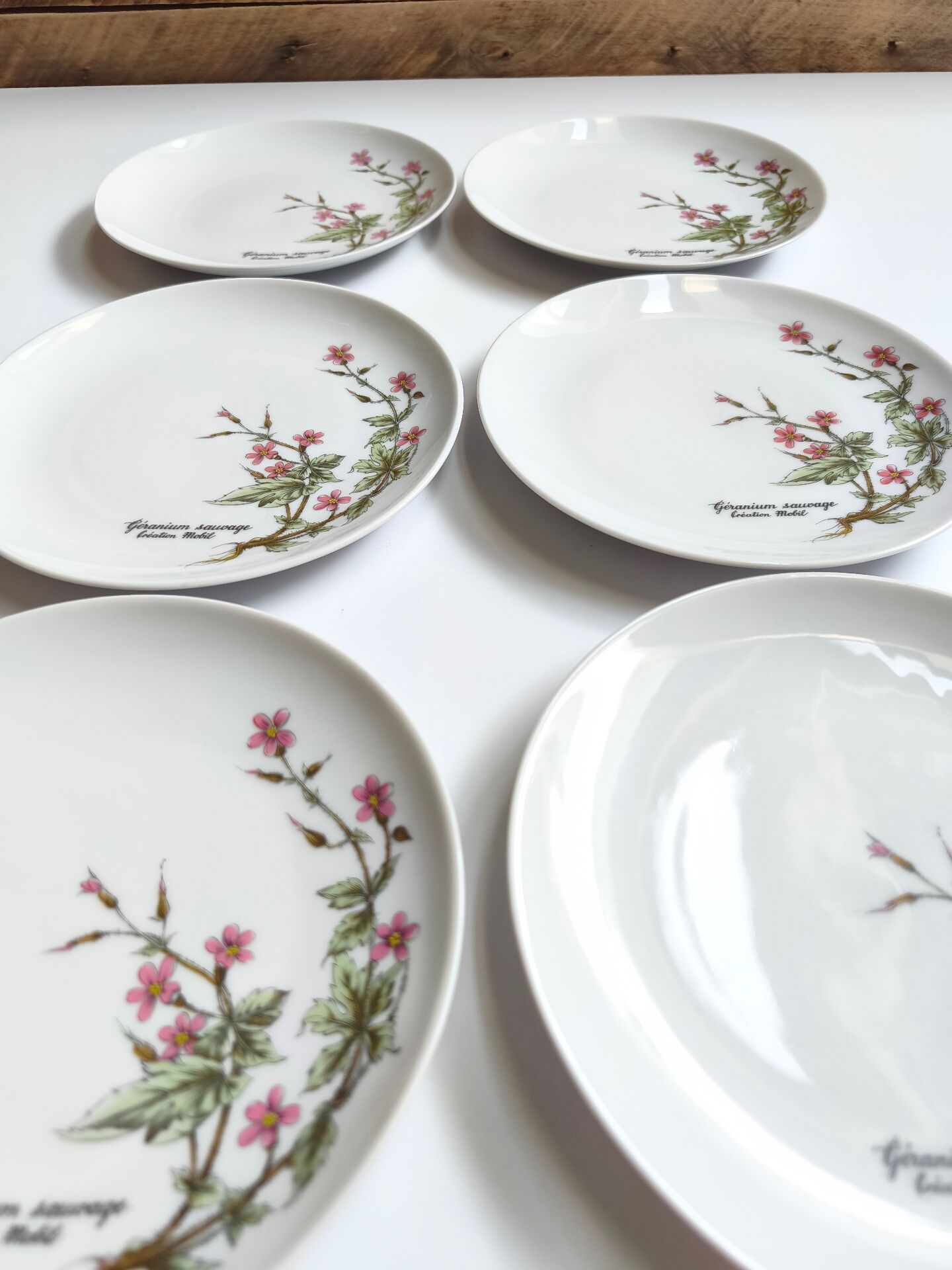 Lot de 6 assiettes à dessert de Bavière mobil décor fleurs roses