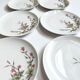 Lot de 6 assiettes à dessert de Bavière mobil décor fleurs roses