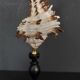 Cabinet of Curiosities shell hexaplex cichoreum on base