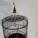 Cage Asia