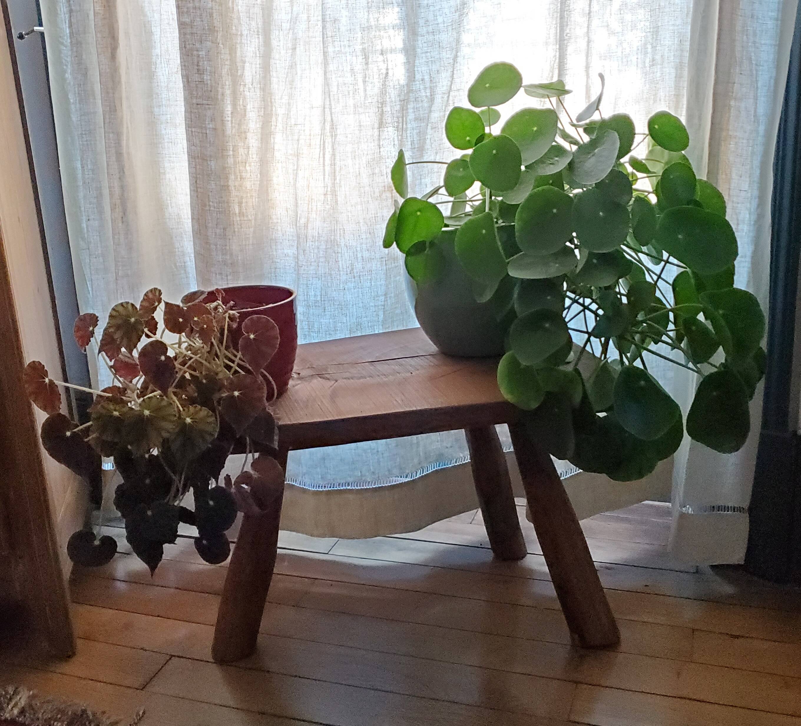 Tripod coffee table