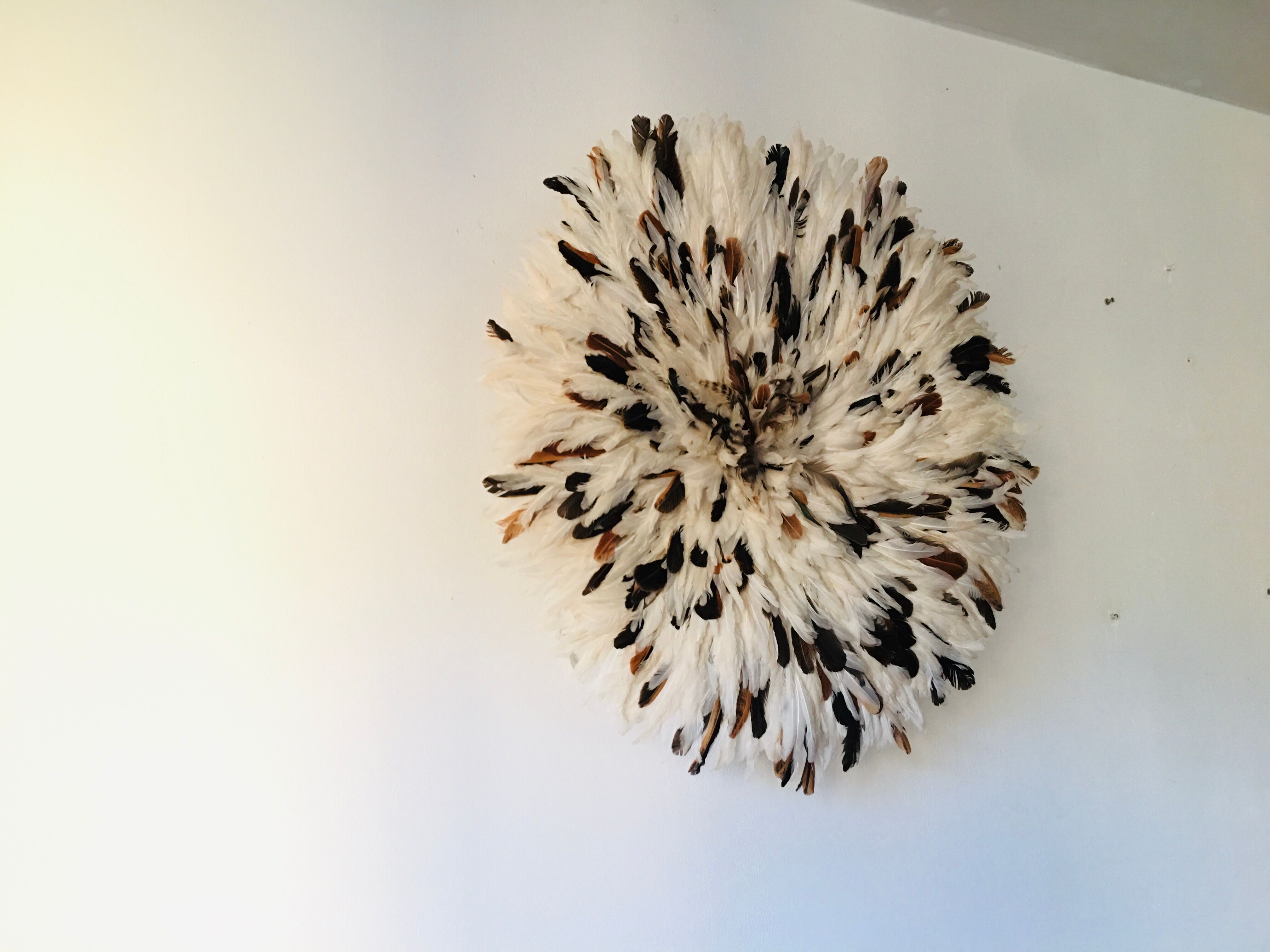 Speckled white jujuhat 65 cm