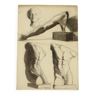 Large Academic Drawing Renée Belvaux (1903-1984) Male Nude 85x60cm