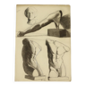 Large Academic Drawing Renée Belvaux (1903-1984) Male Nude 85x60cm