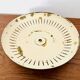 Italian Brass Wall or Flush Lamp