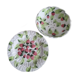 Slurry fruit plate and drainer