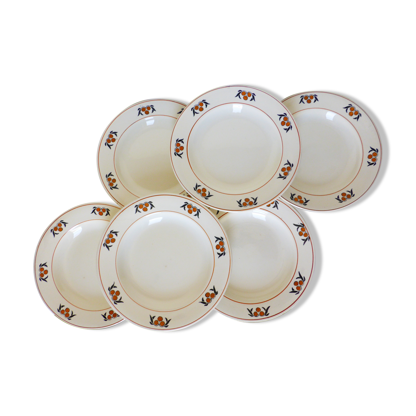 6 hollow plates in iron earth of the Salins model Mimosa 210753