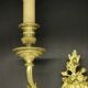 Pair of large wall sconces with flowers in the Louis XVI style from the 19th century - gilded bronze.