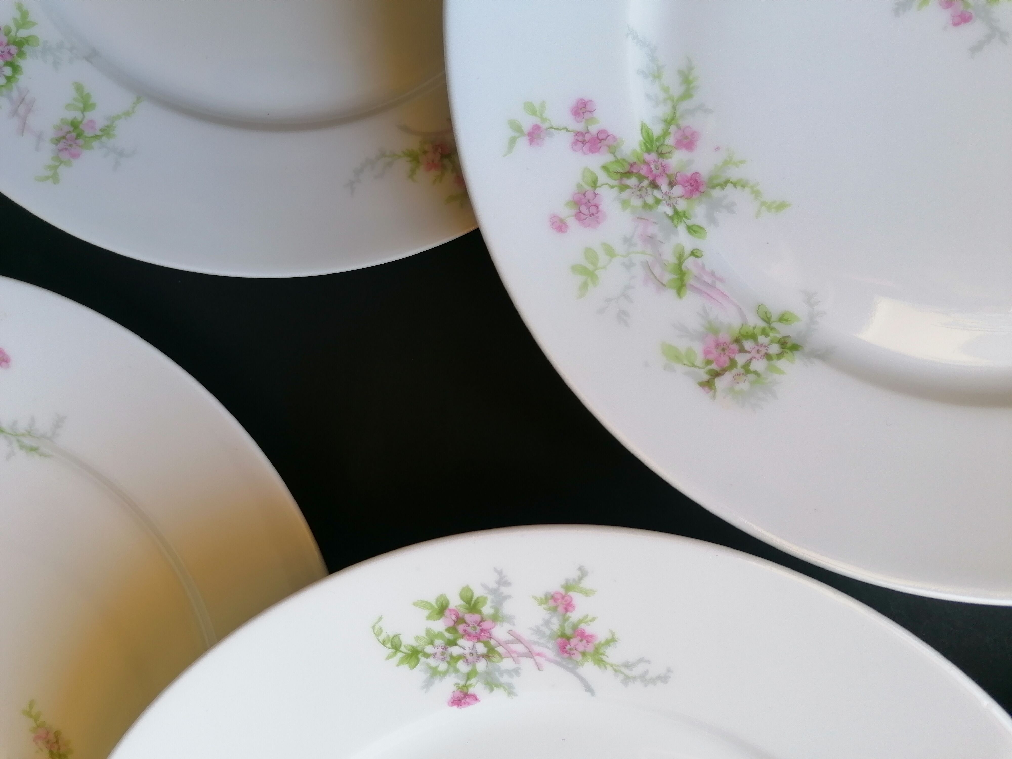 6 flat porcelain plates Limoges