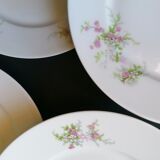 6 flat porcelain plates Limoges