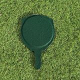 Mithé Espelt Mirror